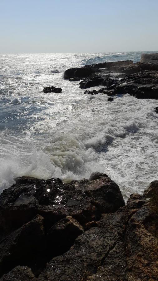 La Preferita Appartamento Vista Lato Mare Monopoli Dış mekan fotoğraf